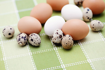 Image showing eggs