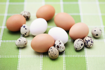 Image showing eggs