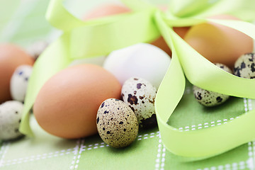 Image showing eggs