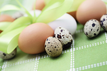 Image showing eggs