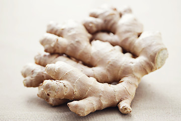 Image showing ginger