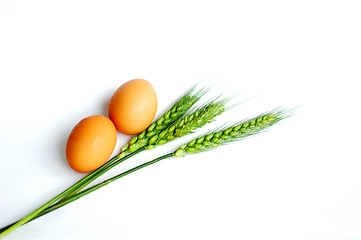 Image showing Green wheat ears and eggs