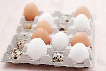 Image showing eggs