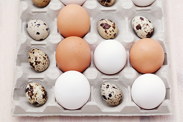 Image showing eggs