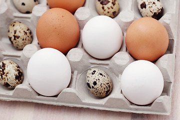 Image showing eggs