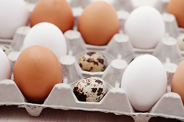 Image showing eggs