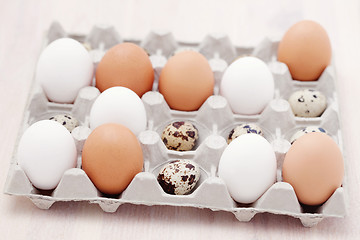 Image showing eggs