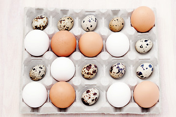 Image showing eggs