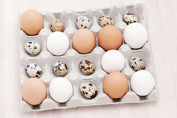 Image showing eggs