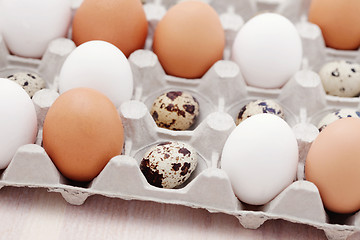 Image showing eggs