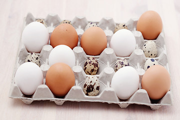 Image showing eggs