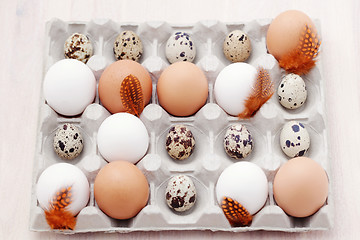 Image showing eggs