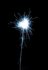 Image showing fireworks on black