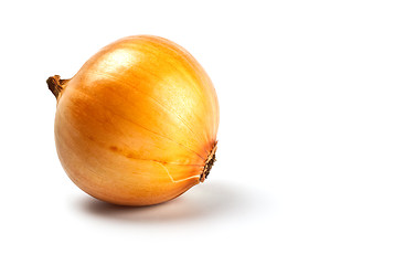 Image showing onion in peel