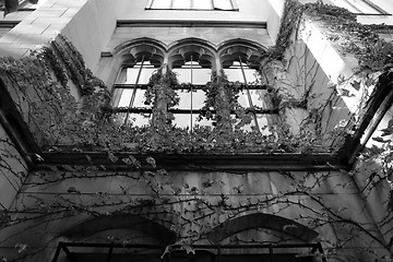 Image showing Spooky looking building with ivy growing up it