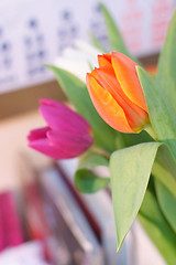 Image showing spring tulips