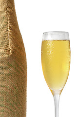 Image showing Champagne and Bottle