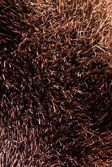 Image showing brown fur texture