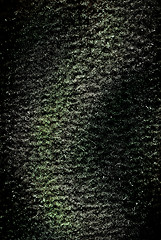 Image showing black and green textile texture