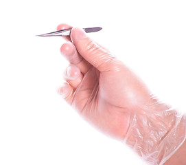 Image showing hand in rubber glove holding tweezers