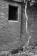 Image showing Old Prison Wall with bars in window