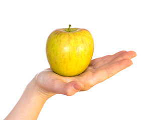 Image showing yellow apple on female palm