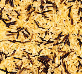 Image showing yellow and black wild rice blend 