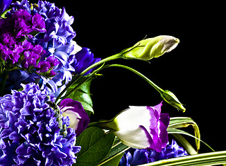 Image showing flowers isolated on black