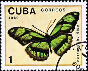 Image showing postage stamp shows butterfly 