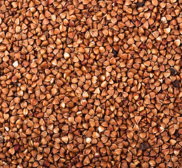 Image showing brown buckwheat