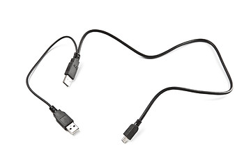 Image showing two usb and mini-usb cable