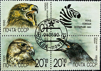 Image showing postage stamps set birds theme