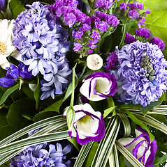 Image showing blue fuzzy (hyacinthus orientalis) bouquet