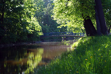 Image showing Silent Water