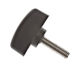 Image showing screw with plastic head