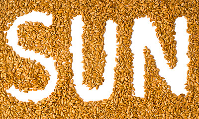 Image showing sunflower seeds with written word sun