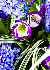Image showing blue fuzzy (hyacinthus orientalis) bouquet 