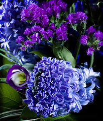 Image showing deep violet hyacinthus orientalis