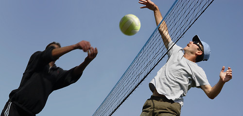 Image showing Volleyball