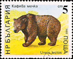 Image showing postage stamp shows brown bear