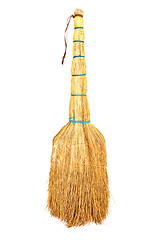 Image showing yellow broom