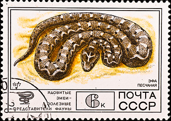 Image showing postage stamp shows venomous snake