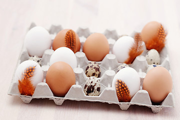 Image showing eggs