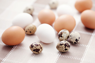 Image showing eggs