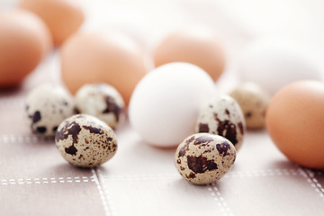 Image showing eggs