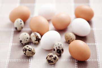 Image showing eggs