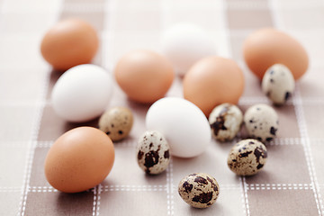 Image showing eggs