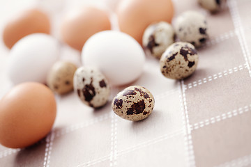 Image showing eggs