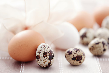 Image showing eggs