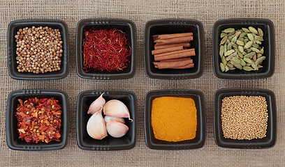 Image showing Spice Sampler